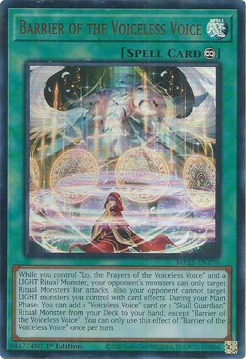 mp25-en170-barrierofthevoicelessvoice