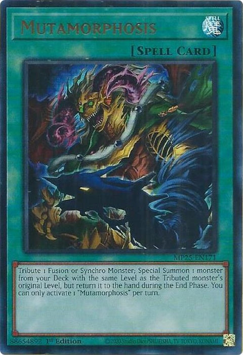 mp25-en171-mutamorphosis