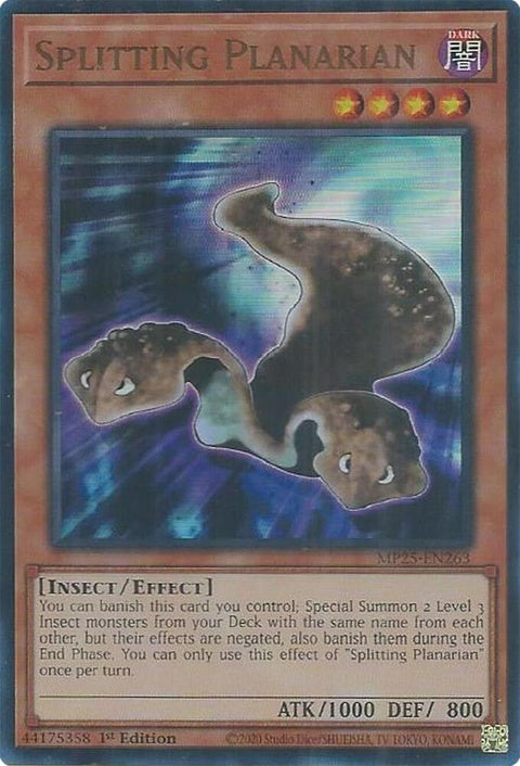 mp25-en263-splittingplanarian