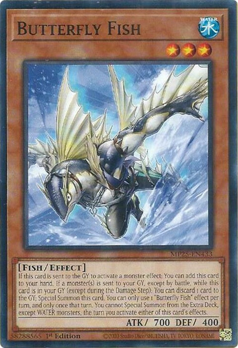 mp25-en433-butterflyfish