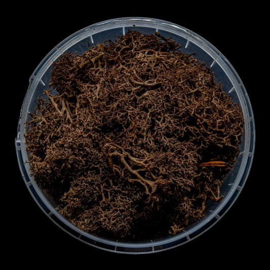 Deadwood Hedge Basing Material