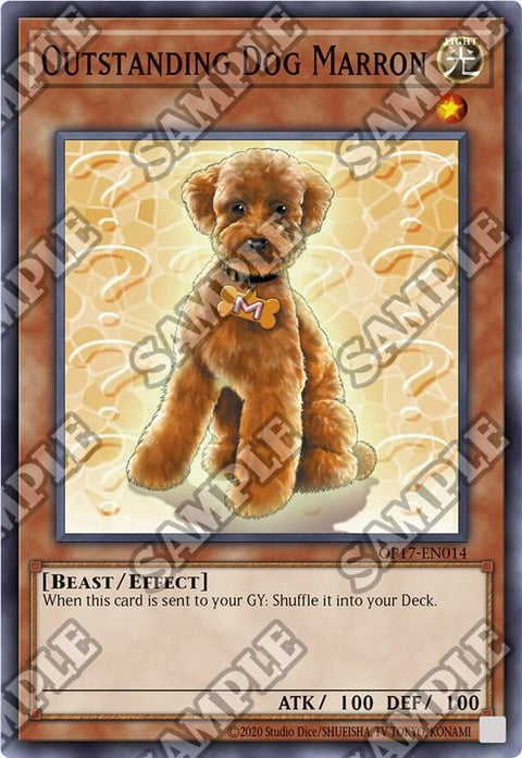 op17-en014-outstandingdogmarron