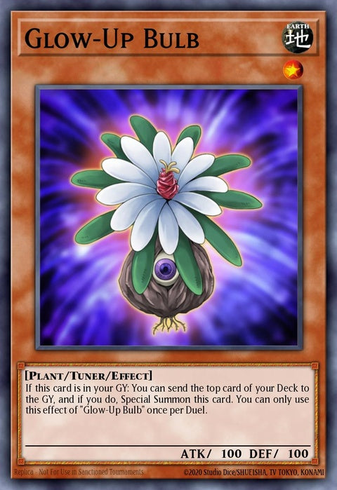 pgl2-en033-glowupbulb