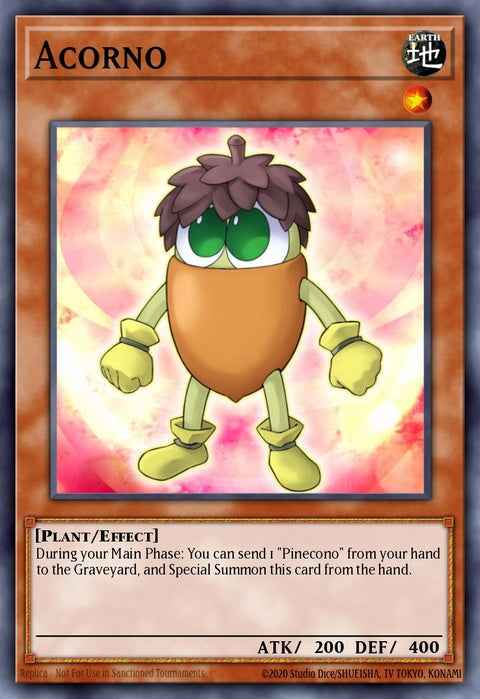 phsw-en006-acorno
