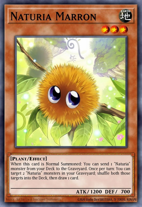 phsw-en029-naturiamarron