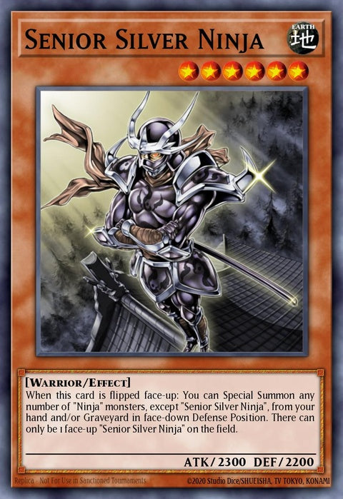 phsw-en031-seniorsilverninja