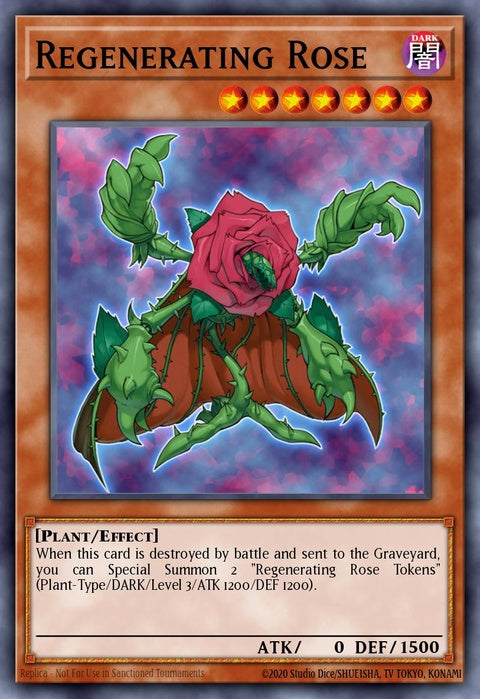 ptdn-en005-regeneratingrose