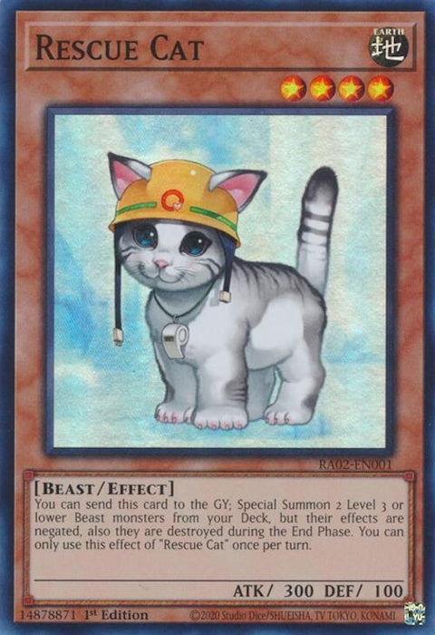 ra02-en001-rescuecat