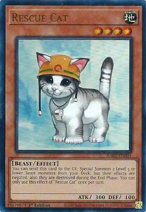 ra02-en001-rescuecatur