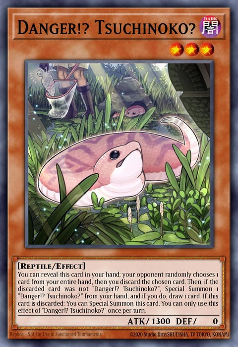ra04-en027-dangertsuchinoko