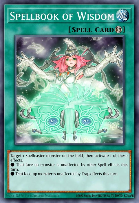 redu-en060-spellbookofwisdom