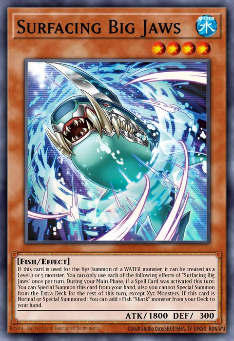 rota-en001-surfacingbigjaws