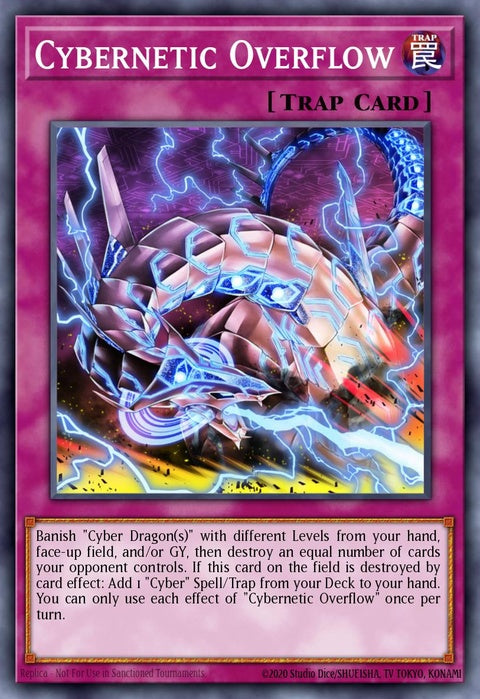 sdcs-en040-cyberneticoverflow