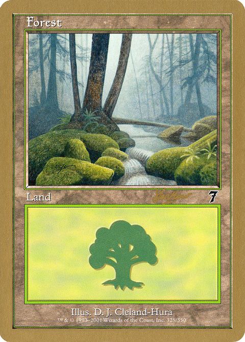 shh328-forest