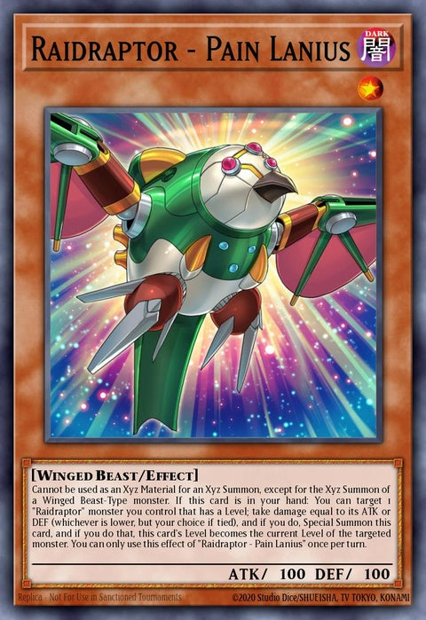 shvi-en015-raidraptorpainlanius