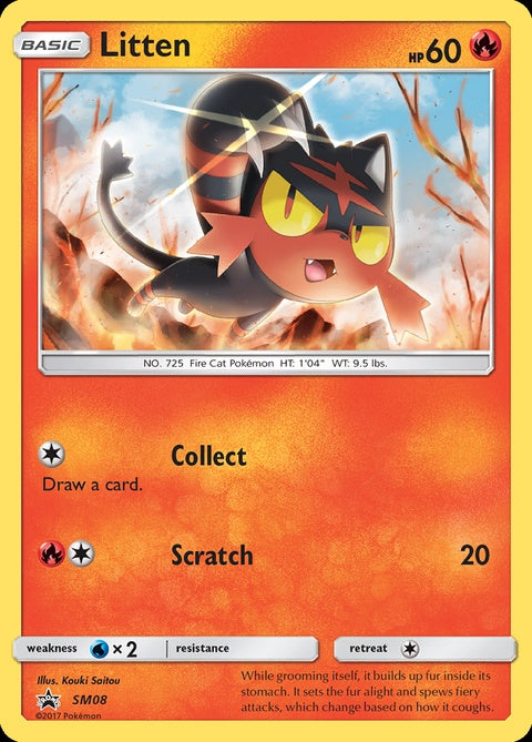 sm08-litten