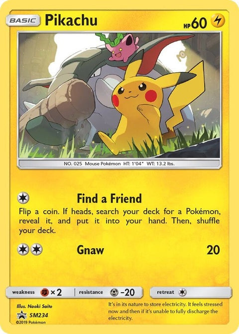 sm234-pikachu
