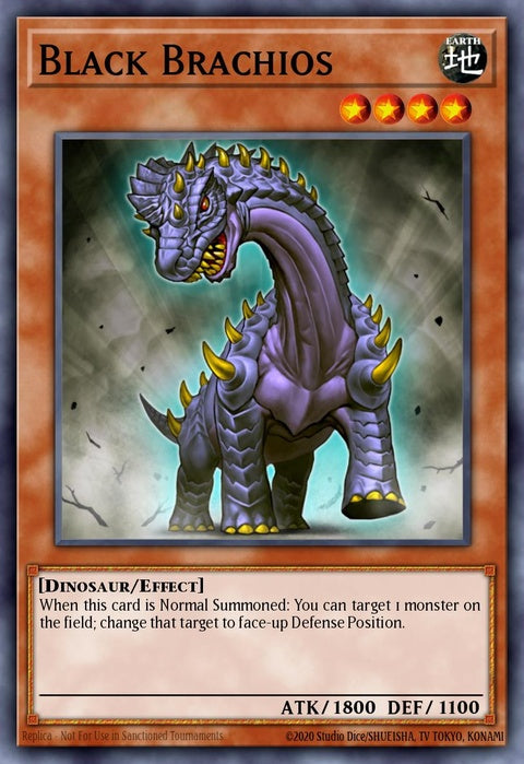 sr04-en010-blackbrachios