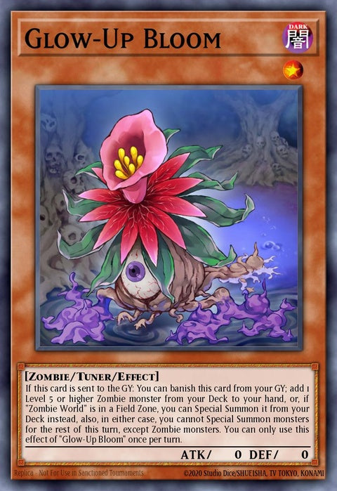 sr07-en003-glowupbloom