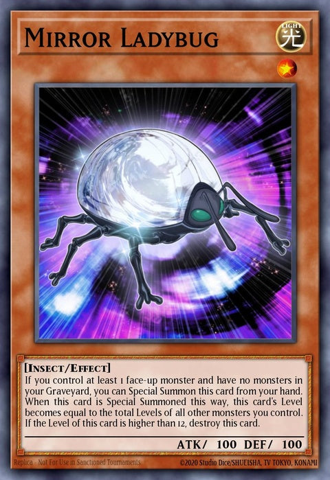 stbl-en002-mirrorladybug