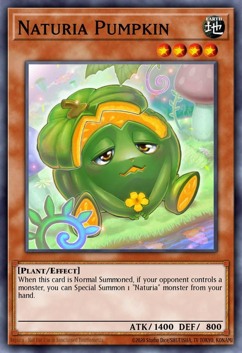 stbl-en031-naturiapumpkin