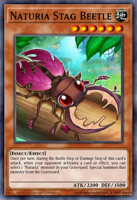 stbl-en032-naturiastagbeetle