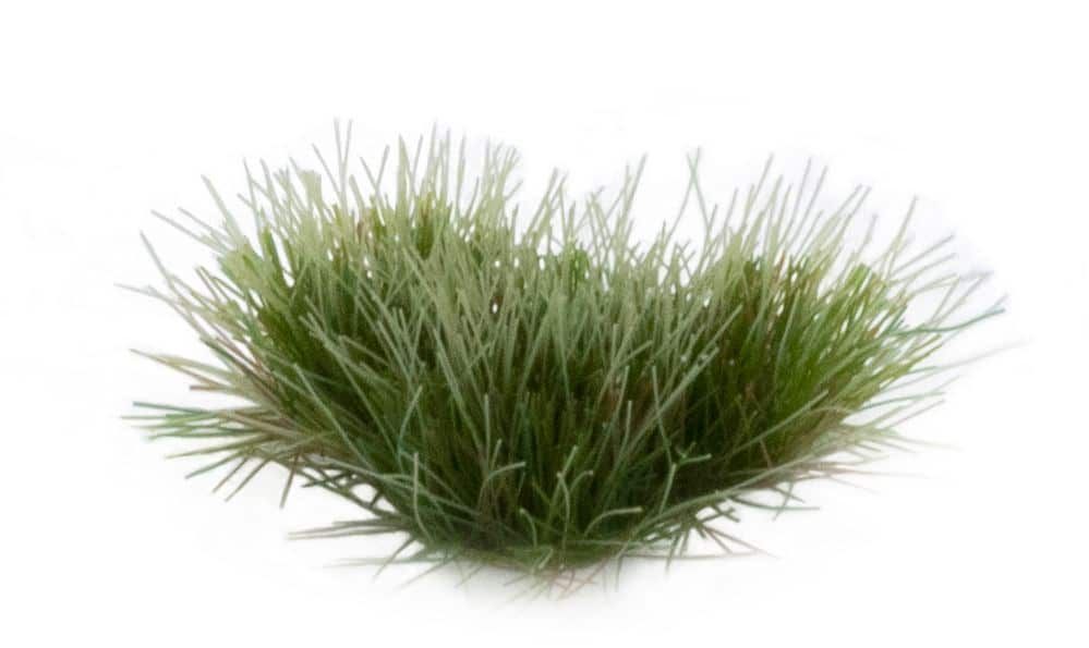 Strong Green 6mm Wild Tufts - Gamers Grass