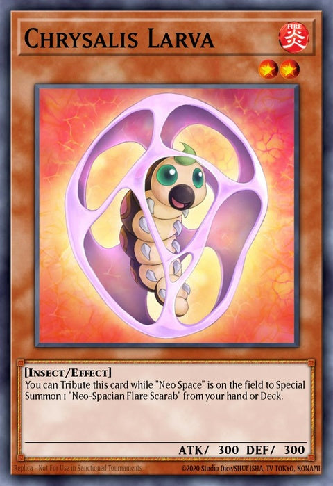 taev-en010-chrysalislarva