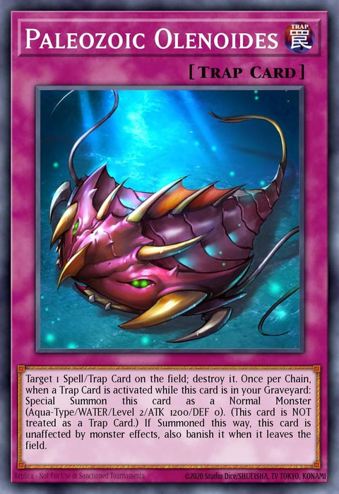 tdil-en095-paleozoicolenoides