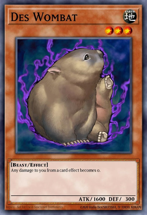 tlm-en031-deswombat