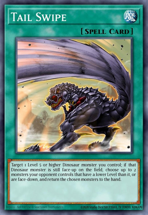 tu07-en010-tailswipe
