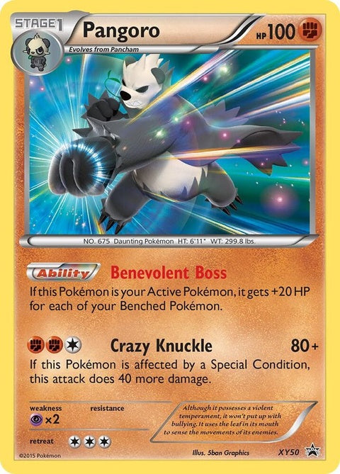 xy50-pangoro