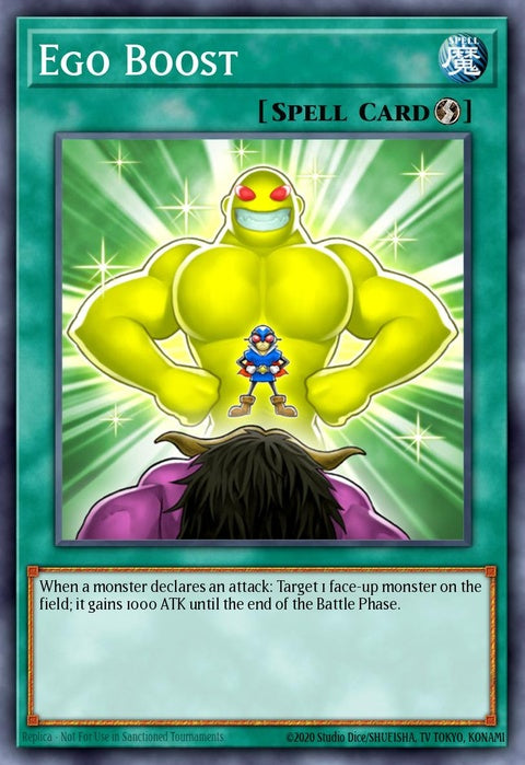 ys13-en025-egoboost