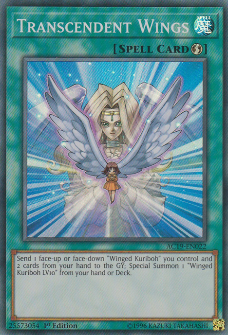 Transcendent Wings [AC19-EN022] Super Rare