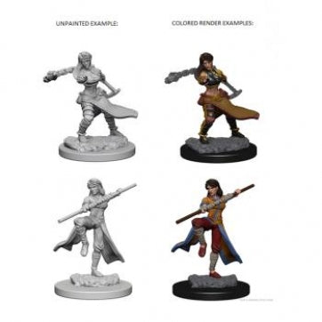 D&D Nolzur's Marvelous Miniatures Human Monk (Female)