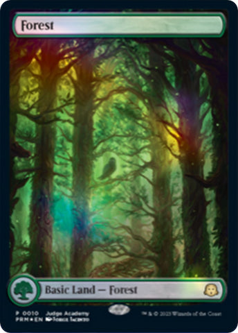 Forest [Judge Gift Cards 2023]