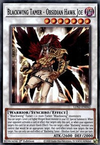 Blackwing Tamer - Obsidian Hawk Joe [LDS2-EN042] Common