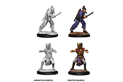 D&D Nolzur's Marvelous Miniatures Human Monk (Male)
