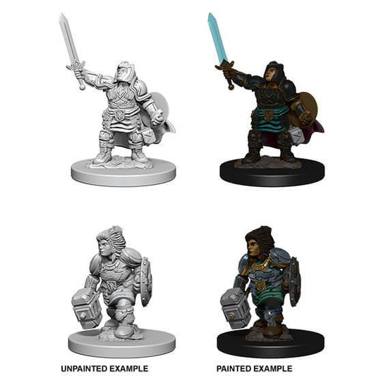 D&D Nolzur's Marvelous Miniatures Dwarf Paladin (Female)