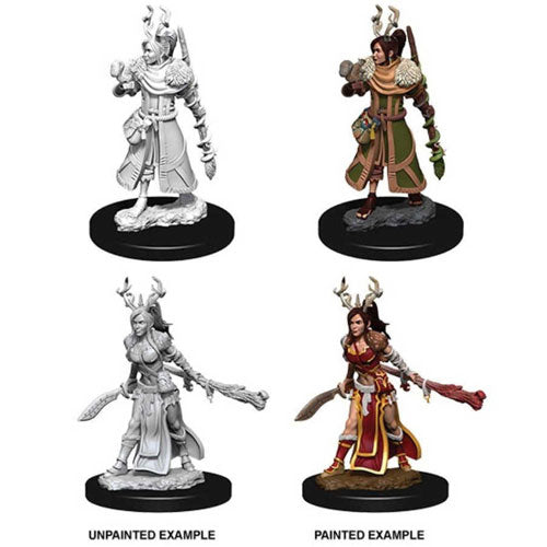 D&D Nolzur's Marvelous Miniatures Human Druid (Female)