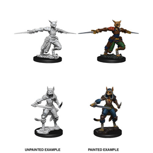 D&D Nolzur's Marvelous Miniatures Tabaxi Rogue