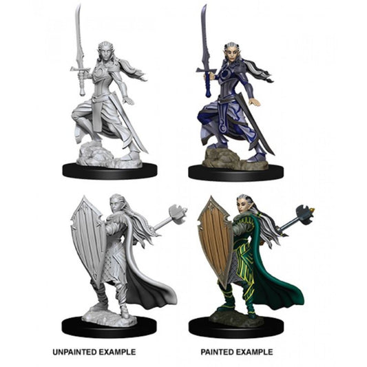D&D Nolzur's Marvelous Miniatures Elf Paladin (Female)