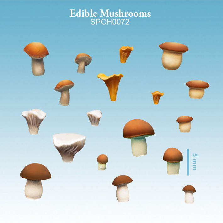Edible Mushrooms Spellcrow Scenery