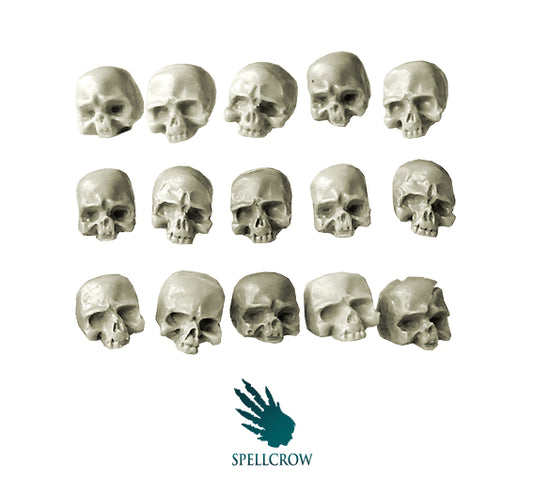 Human Skulls