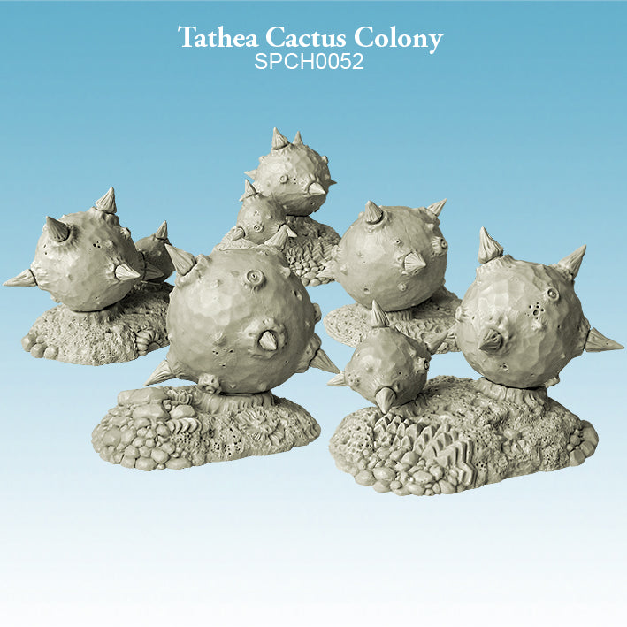 Tathea Cactus Colony Spellcrow Scenery