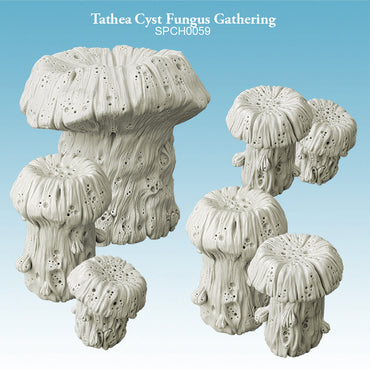 Tathea Cyst Fungus Gathering Spellcrow Scenery
