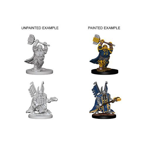 D&D Nolzur's Marvelous Miniatures Dwarf Paladin (Male)