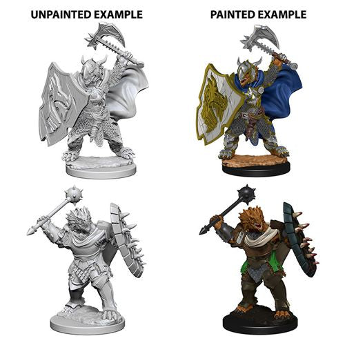 D&D Nolzur's Marvelous Miniatures Dragonborn Paladin