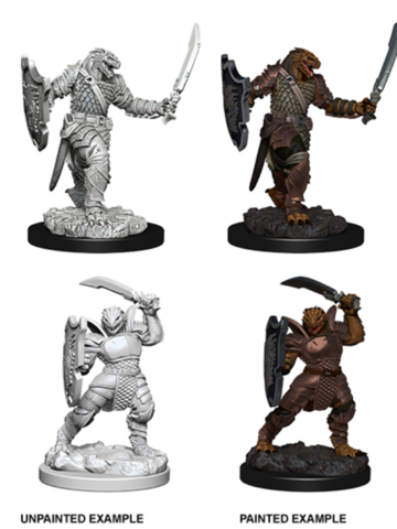 D&D Nolzur's Marvelous Miniatures Dragonborn Paladin