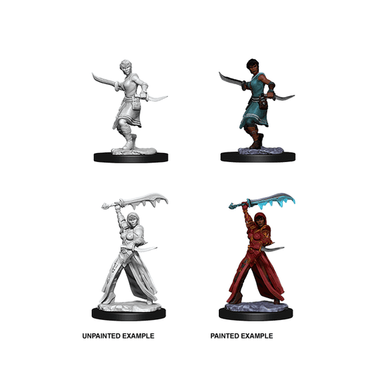 D&D Nolzur's Marvelous Miniatures Human Rogue (Female)